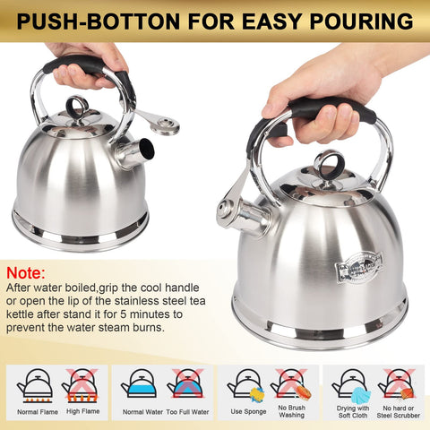 LUXGRACE kettle boiling on an induction stove demonstrating compatibility and quick heating benefit
