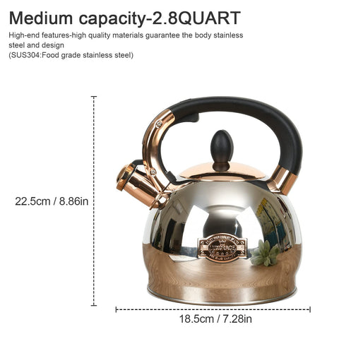 LUXGRACE kettle on an induction stove demonstrating fast, energy-efficient heating