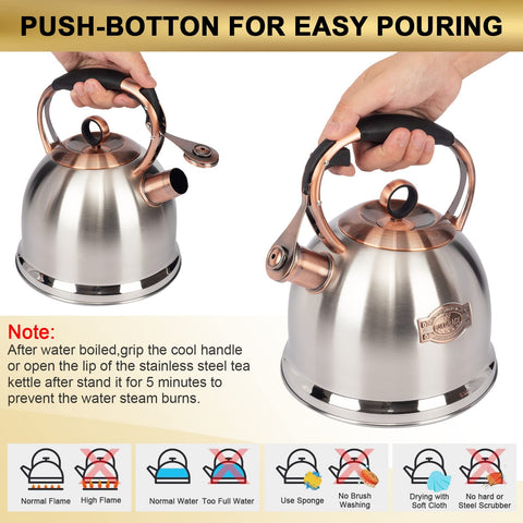 LUXGRACE kettle placed on induction stove demonstrating broad stovetop compatibility