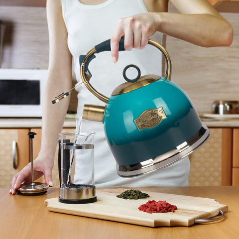 LUXGRACE kettle sitting on induction stove showing compatibility and style