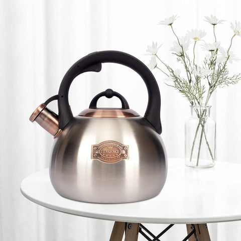 LUXGRACE spout close-up with whistle showing audible boil alert for safety