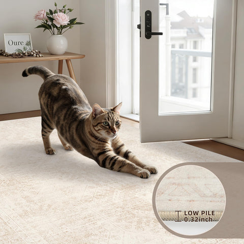 Luxturiy rug with child and pet playing, durable family-friendly surface