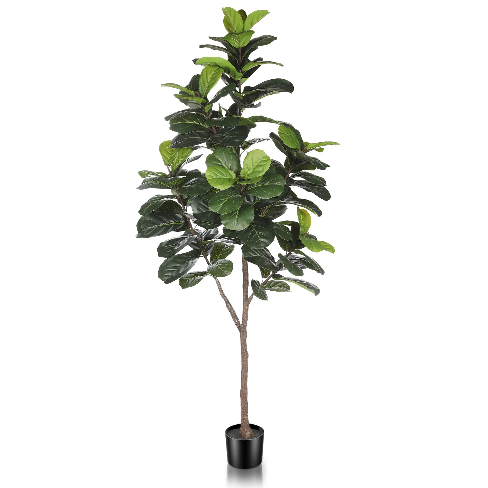 LYERSE front view of 6.5ft fiddle leaf fig creating a green focal point