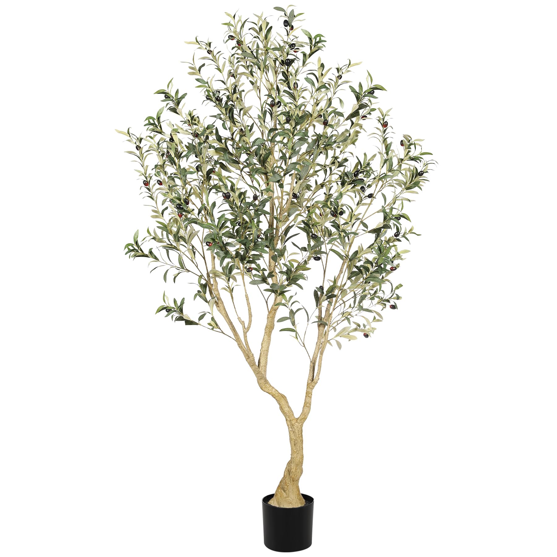 LYERSE olive tree front view showing lifelike foliage and realistic presence