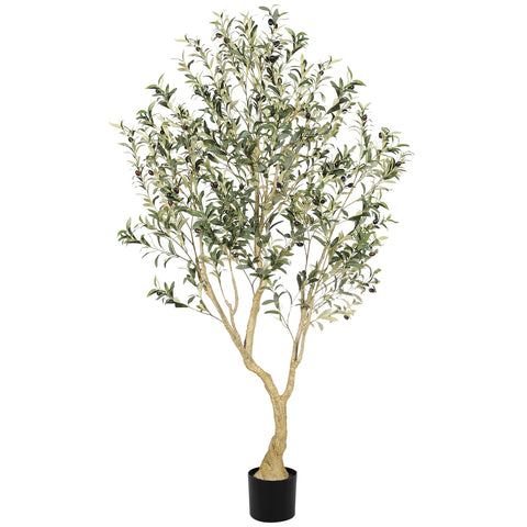 LYERSE olive tree front view showing lifelike foliage and realistic presence