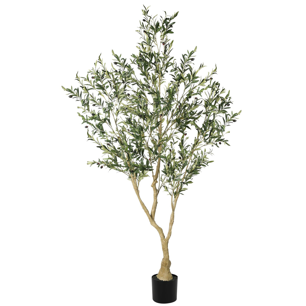 LYERSE full view of 7ft olive tree adding instant style