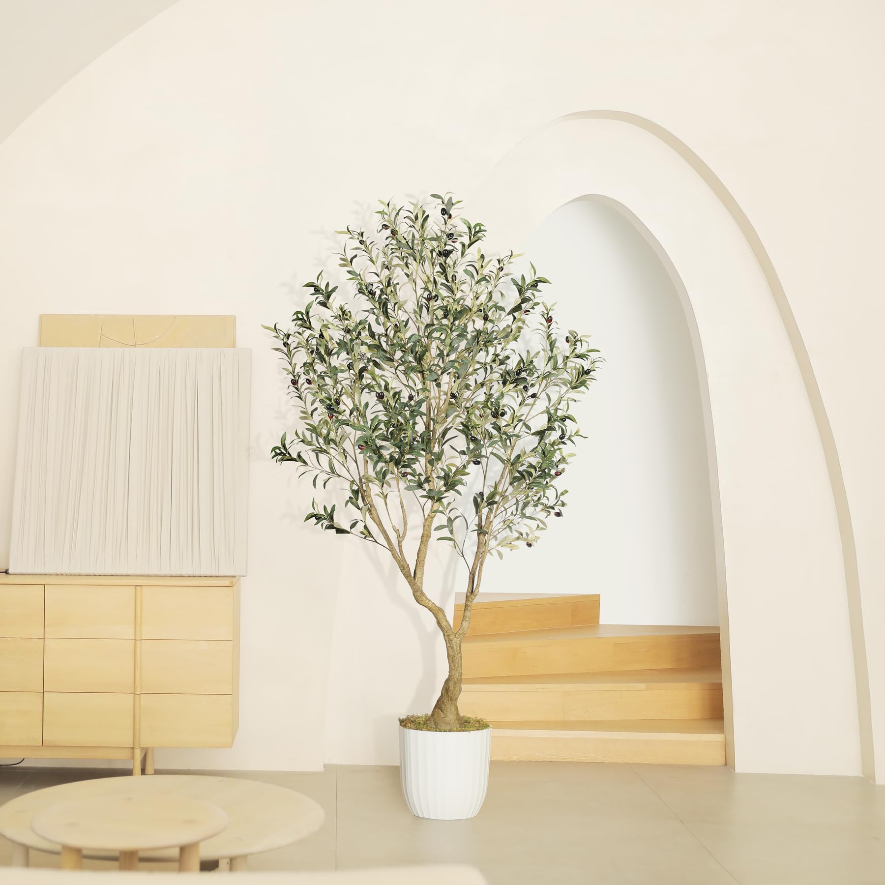 LYERSE olive tree black nursery pot with cement fill for secure base