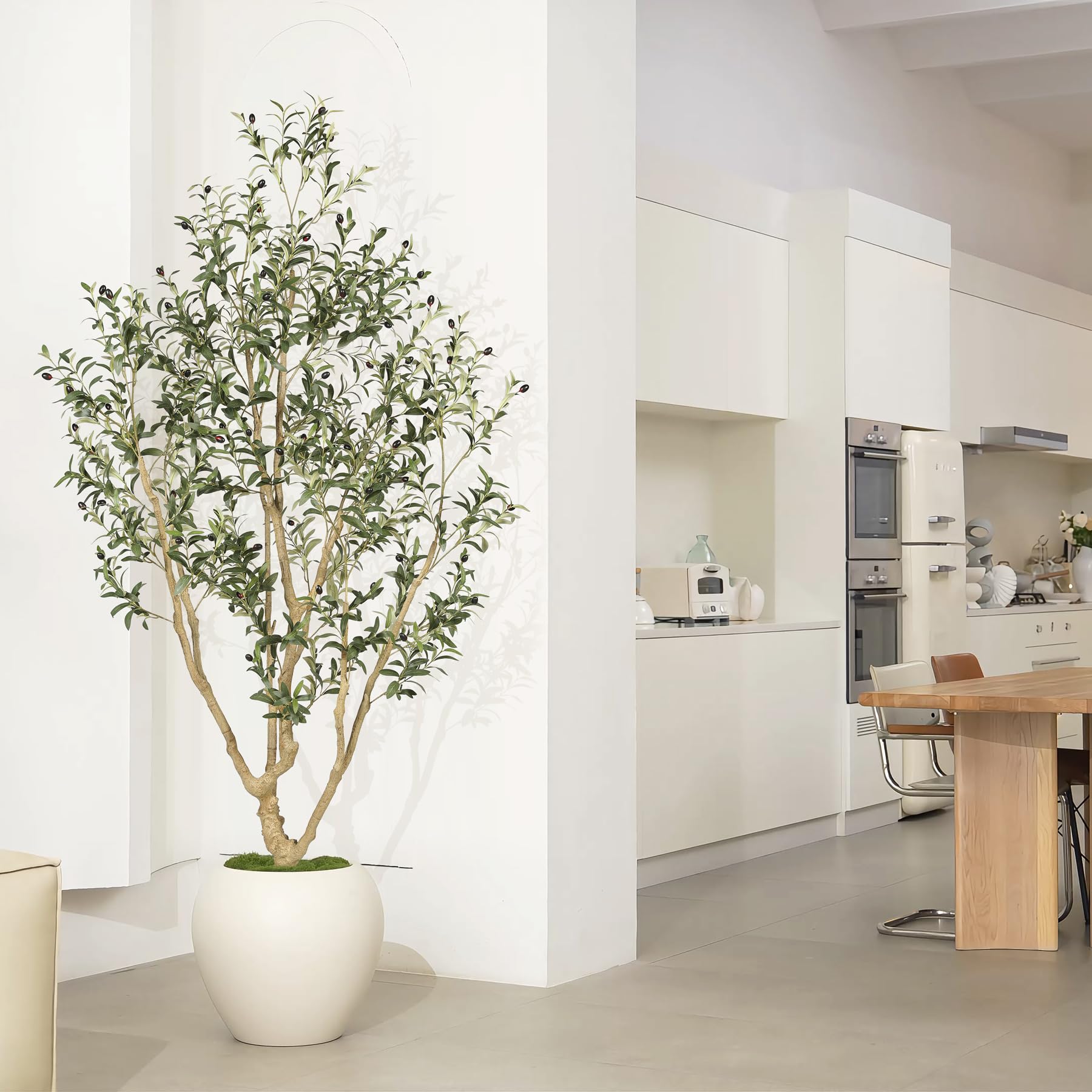 LYERSE tree next to sofa showing scale to visualize room placement benefit