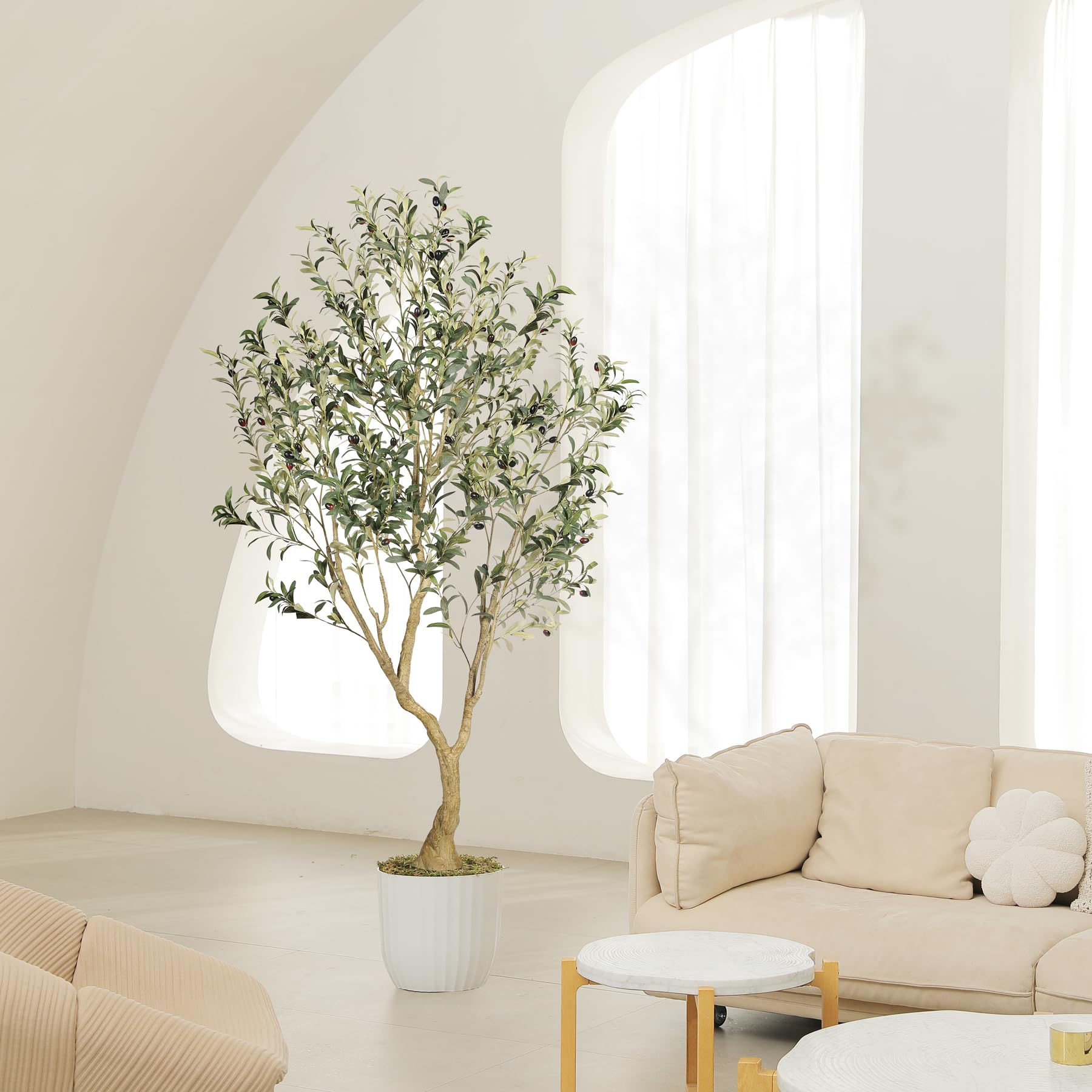 LYERSE olive tree next to sofa showing 6ft scale and visual impact