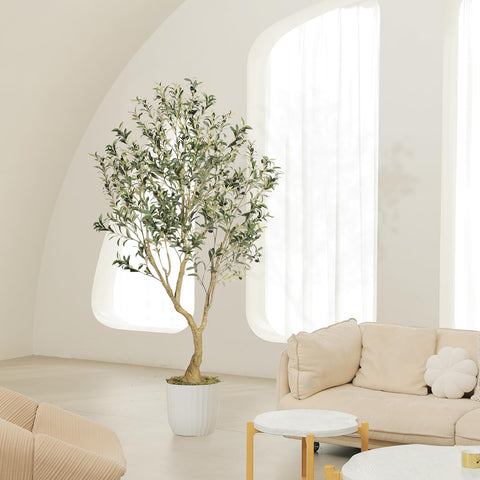 LYERSE olive tree next to sofa showing 6ft scale and visual impact