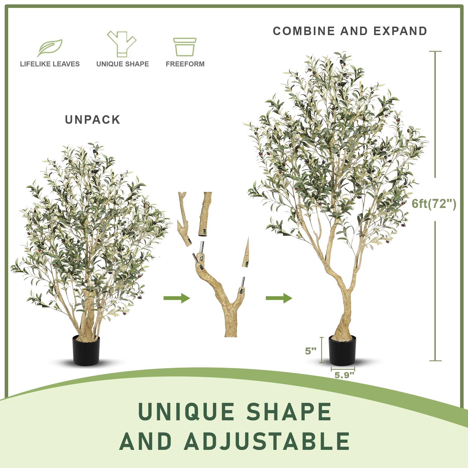 LYERSE olive tree trunk close-up highlighting natural wood texture and stability
