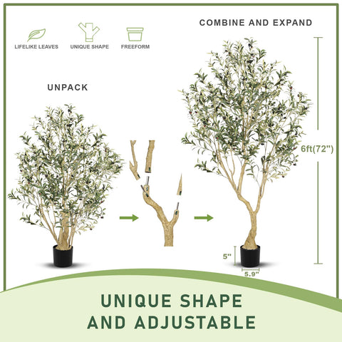 LYERSE olive tree trunk close-up highlighting natural wood texture and stability