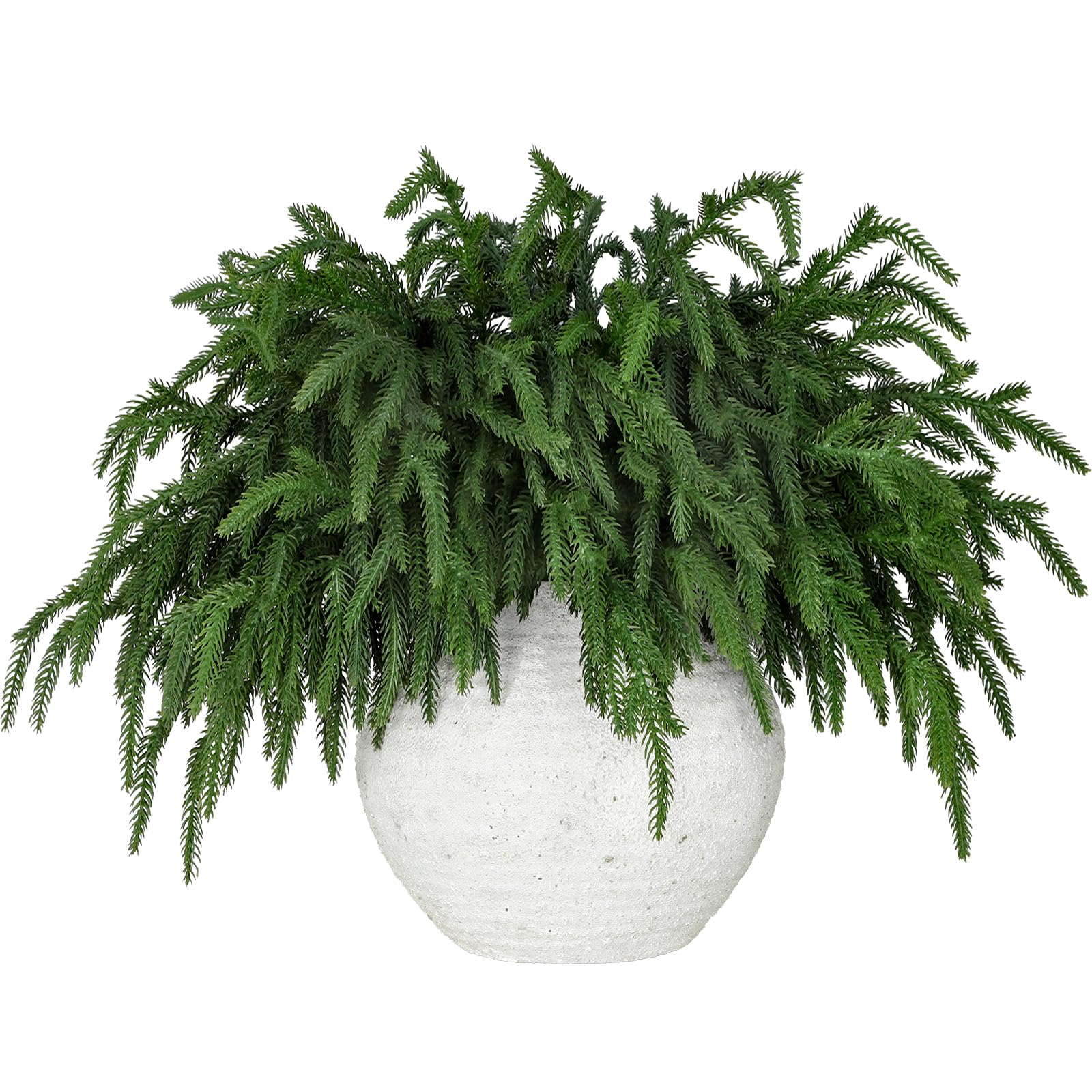 LZNPA front view of twelve bundled pine stems showing full set and depth
