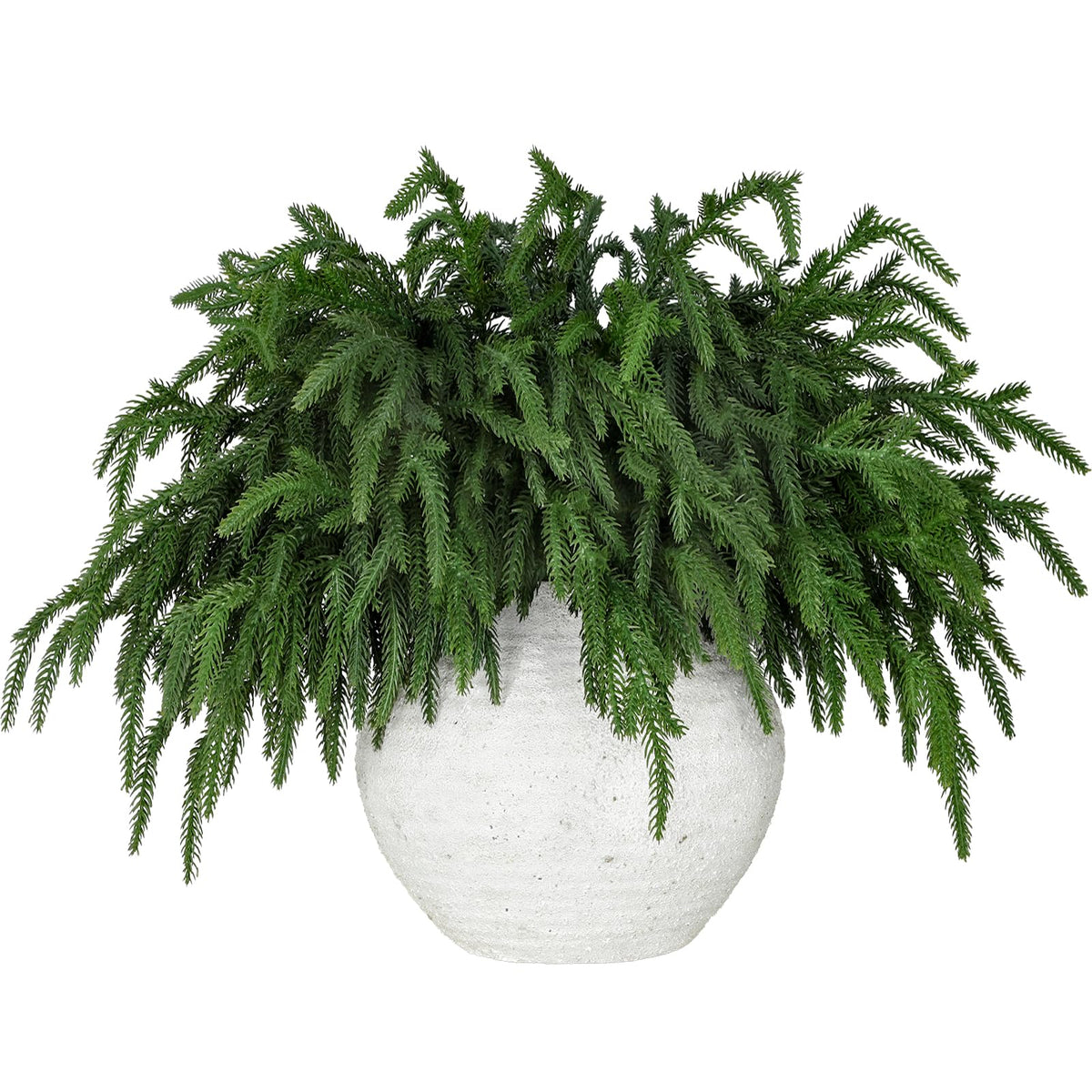 LZNPA front view of twelve bundled pine stems showing full set and depth