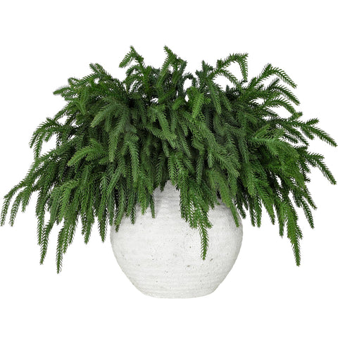 LZNPA front view of twelve bundled pine stems showing full set and depth