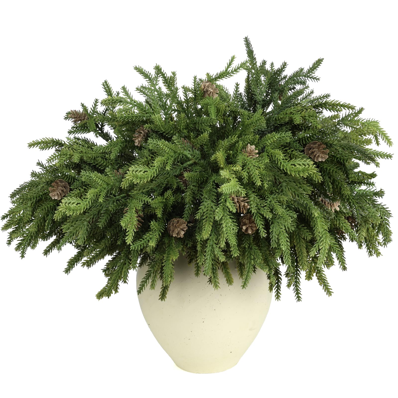 LZNPA front view of six pine stems showing full holiday volume