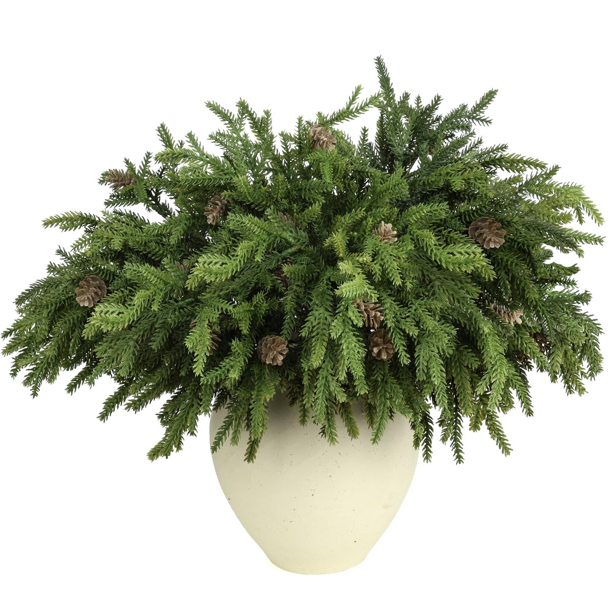 LZNPA front view of six pine stems showing full holiday volume