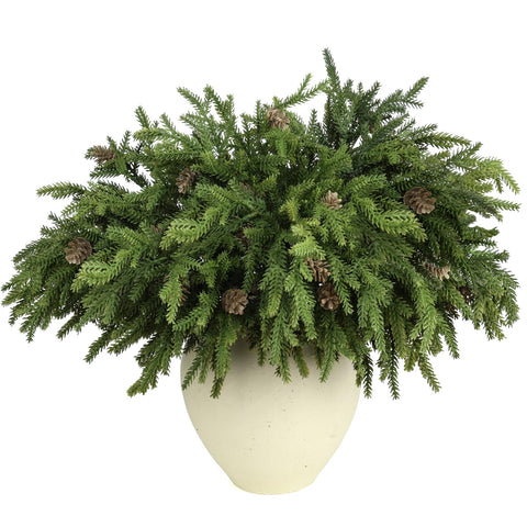 LZNPA front view of six pine stems showing full holiday volume