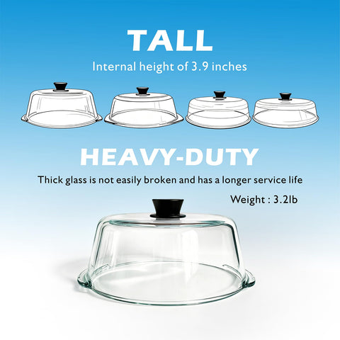 M MNSZRYBO 8 scale comparison with plate demonstrates fit for 6–12 inch dishes