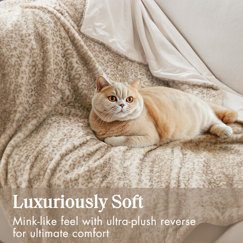Madison Park neatly folded throw showing compact storage and stylish presentation