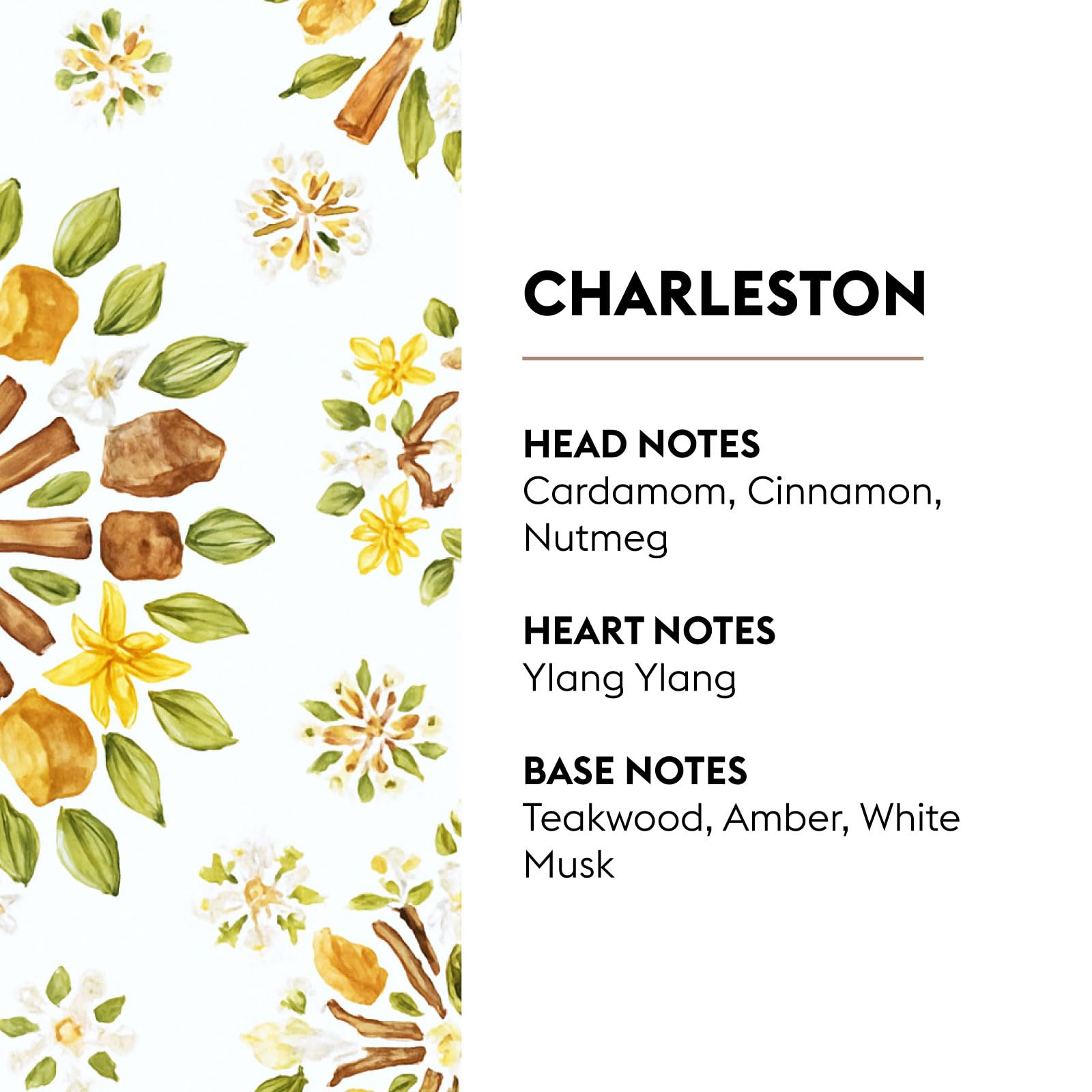 MAISON BERGER Charleston label close-up highlighting fragrance name and product details