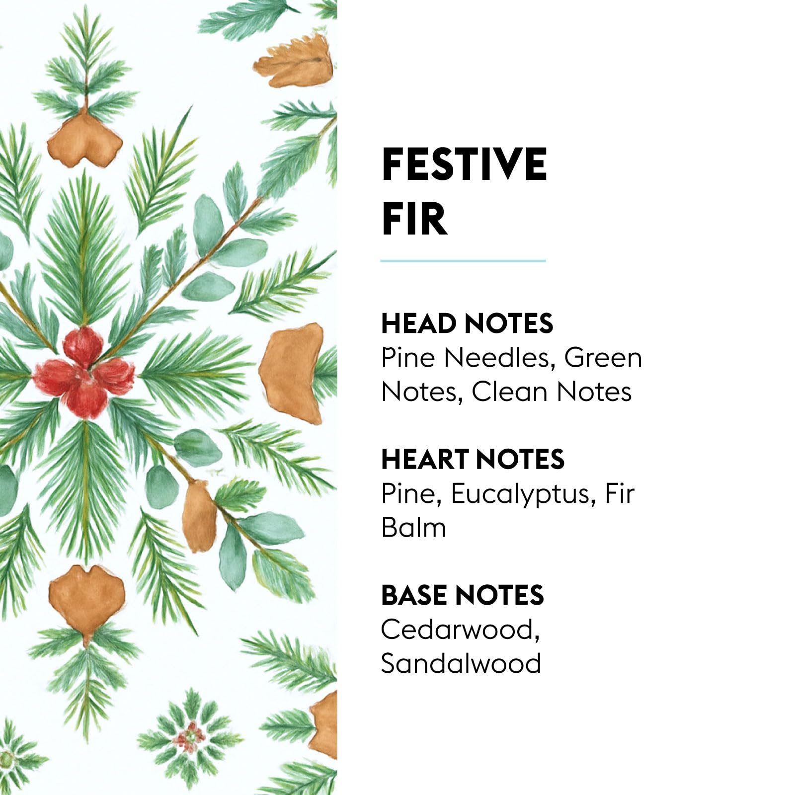 MAISON BERGER close-up label detail highlighting fragrance notes and usage clarity benefit