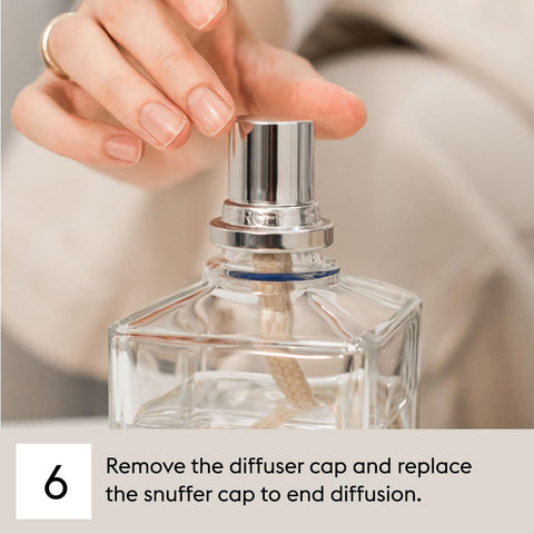 MAISON BERGER bottle styled with winter foliage suggesting seasonal fir fragrance benefit