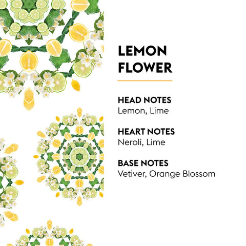 MAISON BERGER Ocean Breeze bottle close-up highlighting label and marine-floral scent clarity benefits
