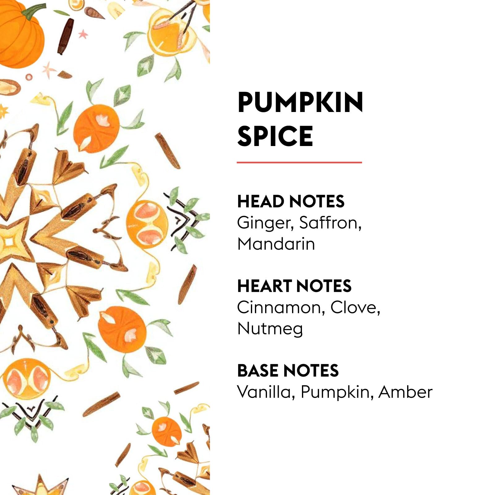 MAISON BERGER label close-up highlighting fragrance name and composition