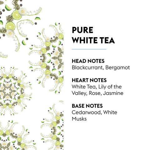 MAISON BERGER close-up of Pure White Tea label emphasizing fragrance notes and clarity benefit