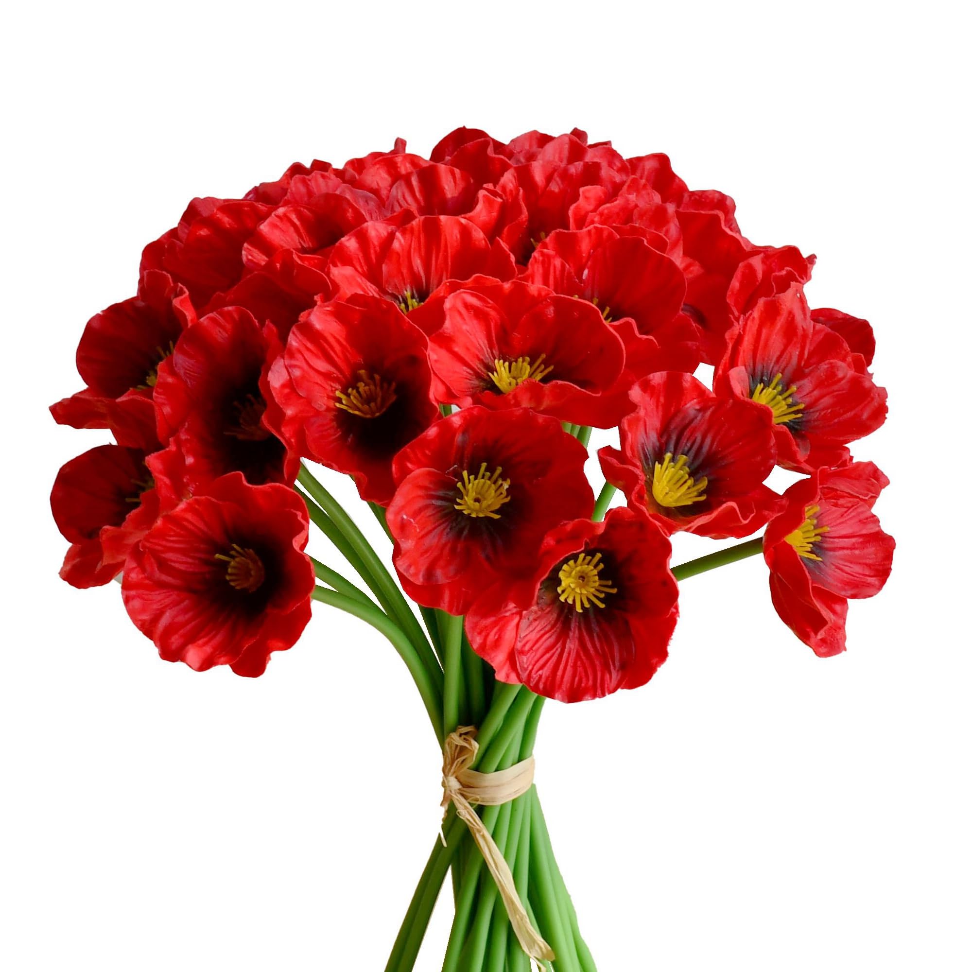 Mandy's red poppy front bundle showing full vibrant display and instant decor impact