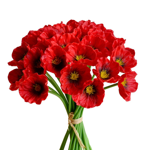 Mandy's red poppy front bundle showing full vibrant display and instant decor impact