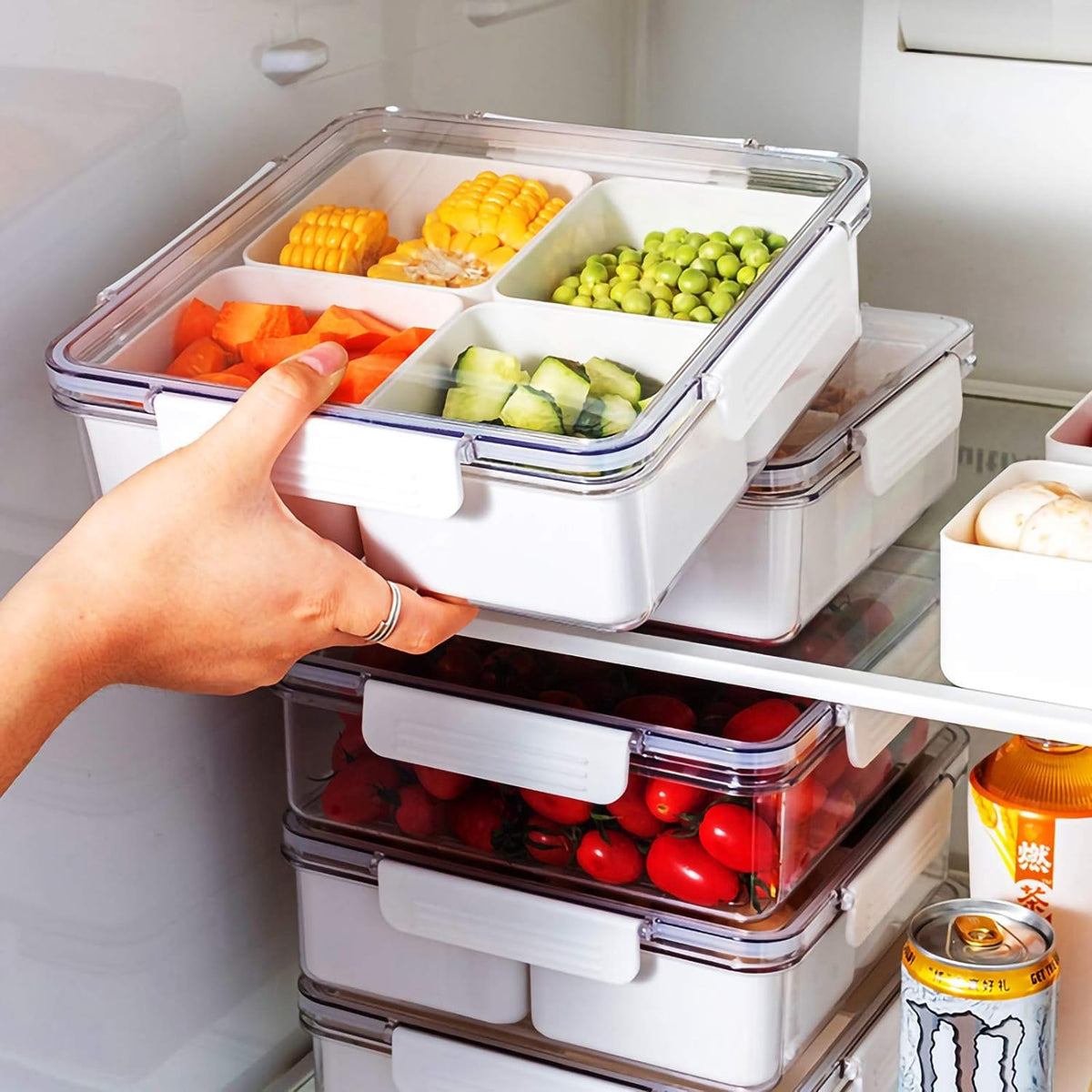 MANO front view of two trays showing clear lids and four compartments, organized storage