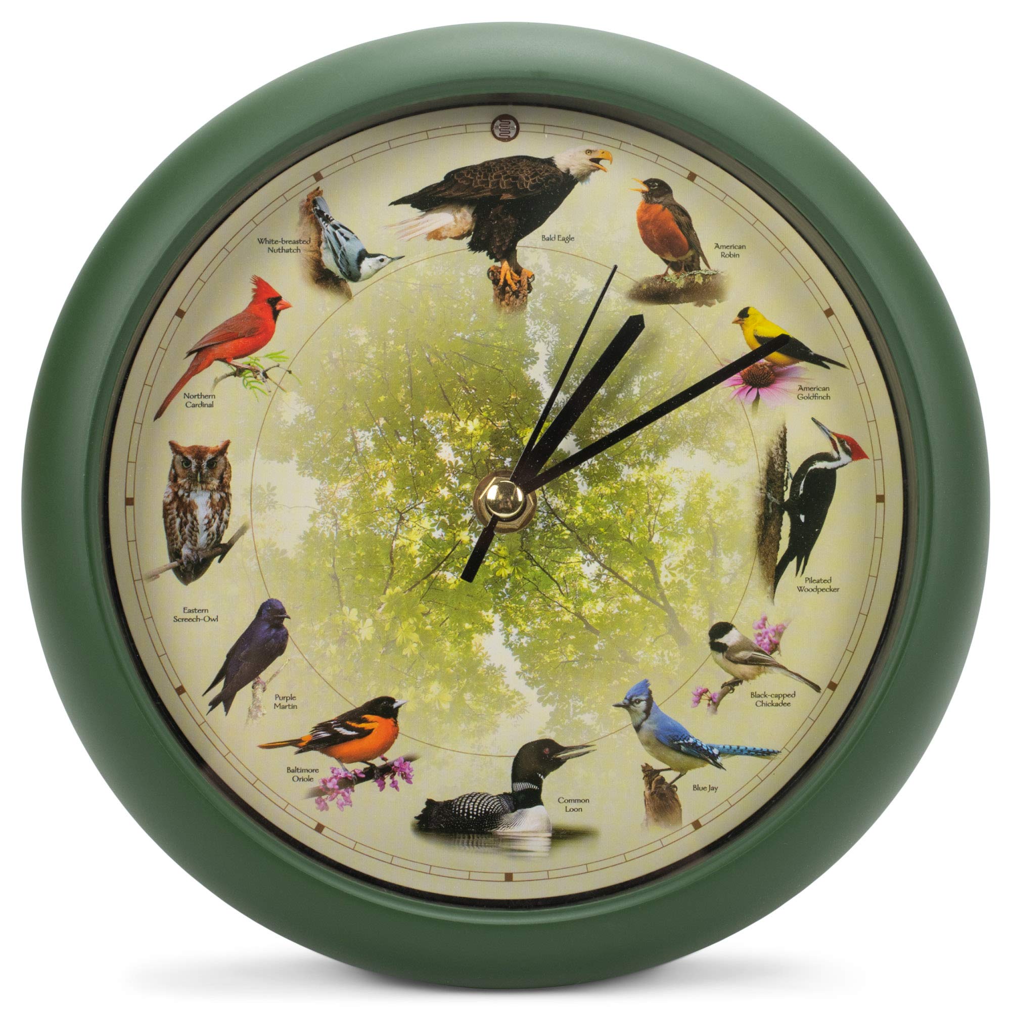 Mark Feldstein front view showing clock face and elegant design benefits desk display