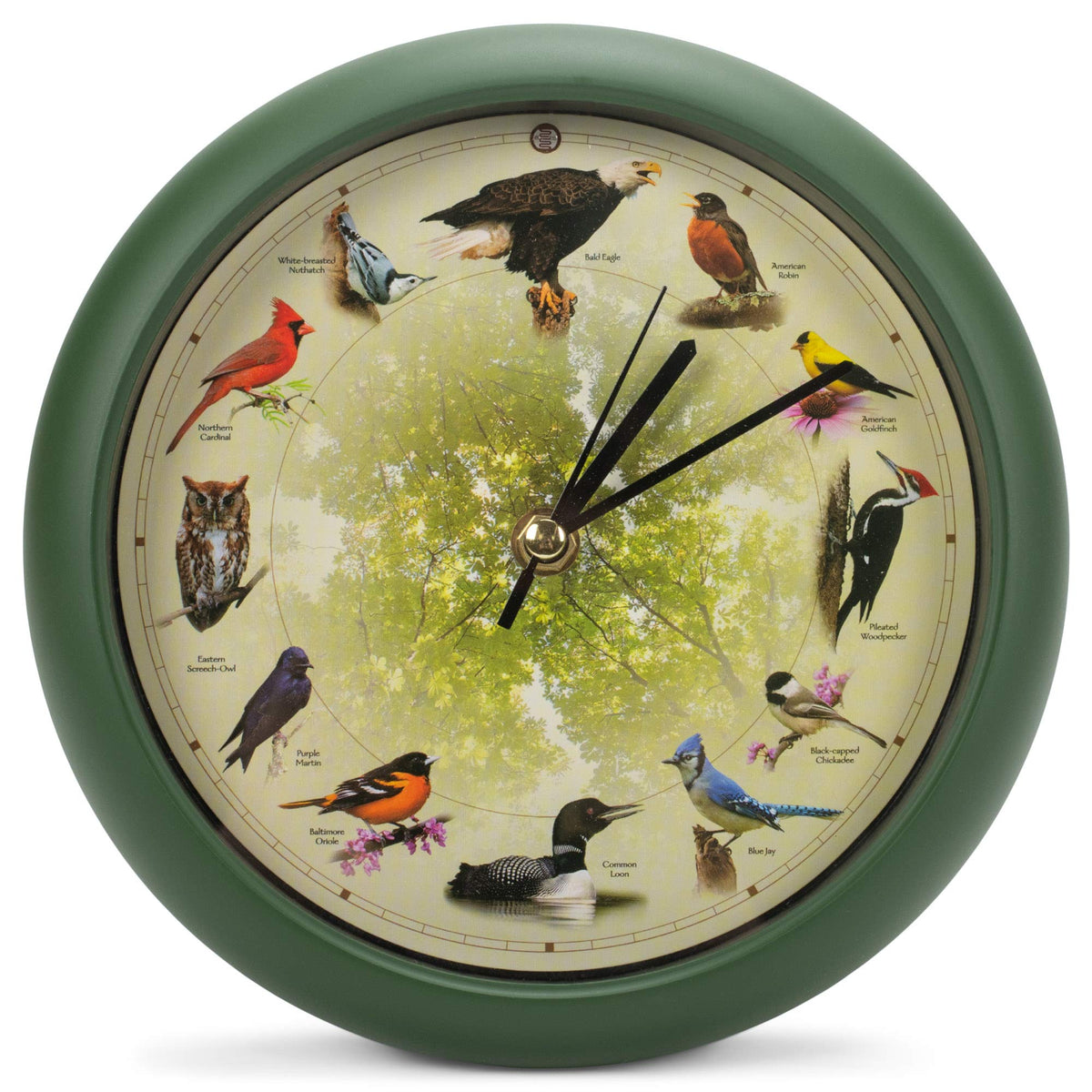 Mark Feldstein front view showing clock face and elegant design benefits desk display