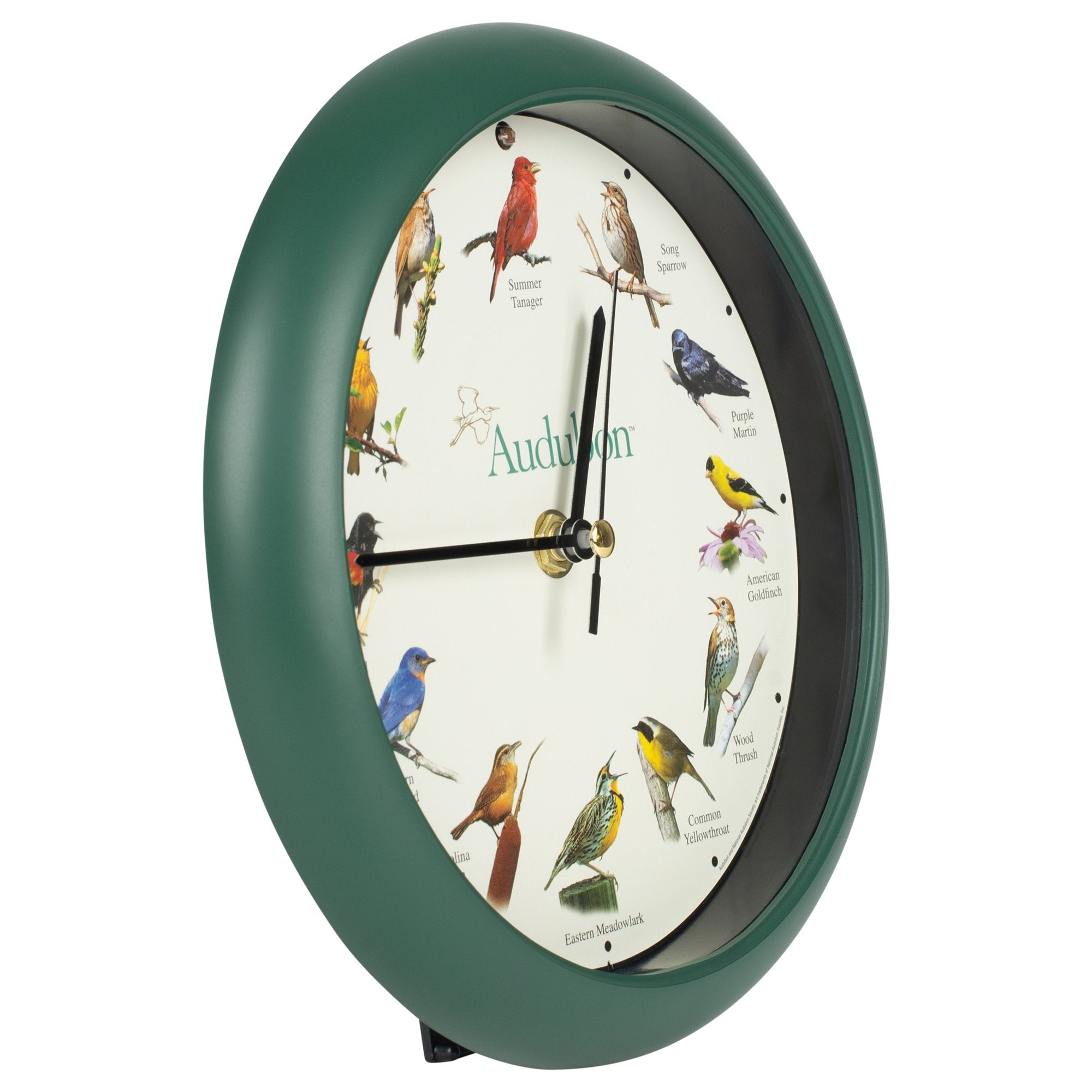 Mark Feldstein detailed bird artwork showing lifelike illustrations and benefit of Audubon licensing