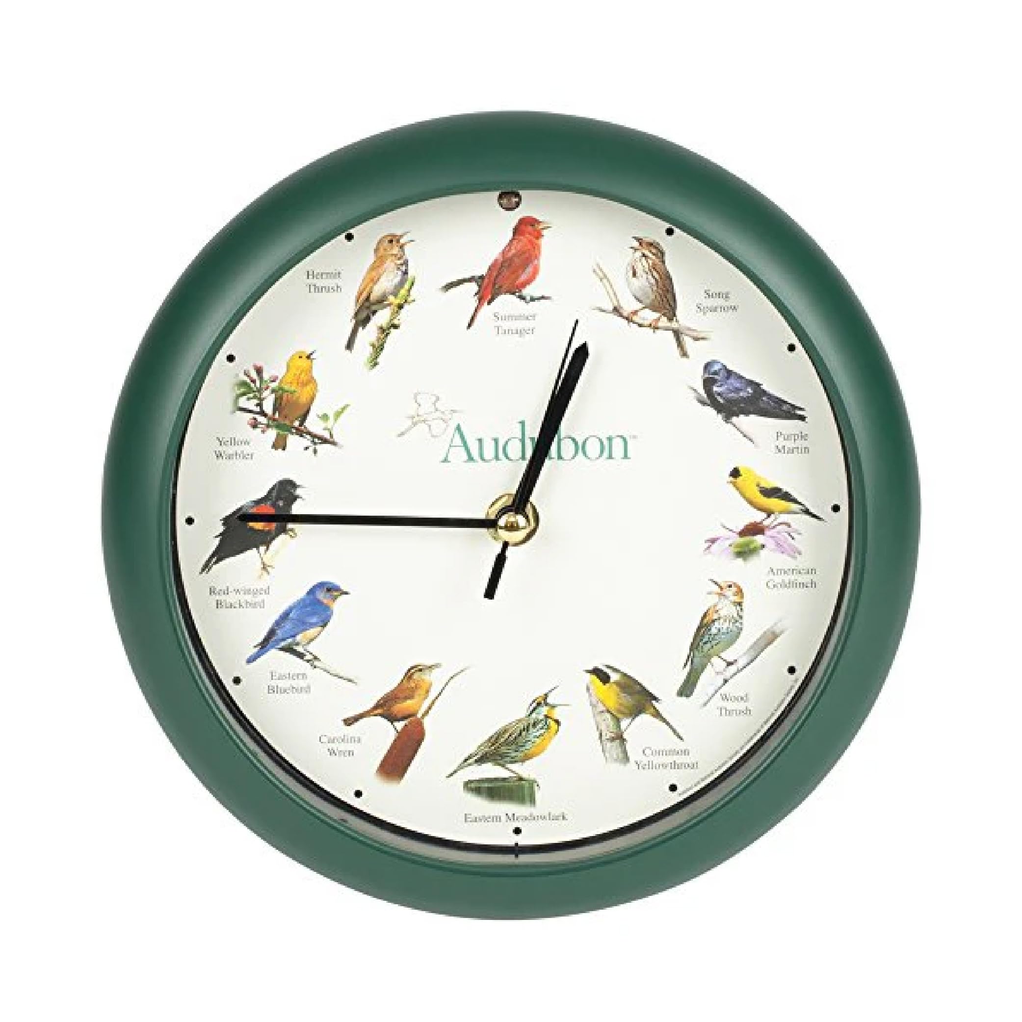 Mark Feldstein green clock front view showing readable face and benefit of easy time reading
