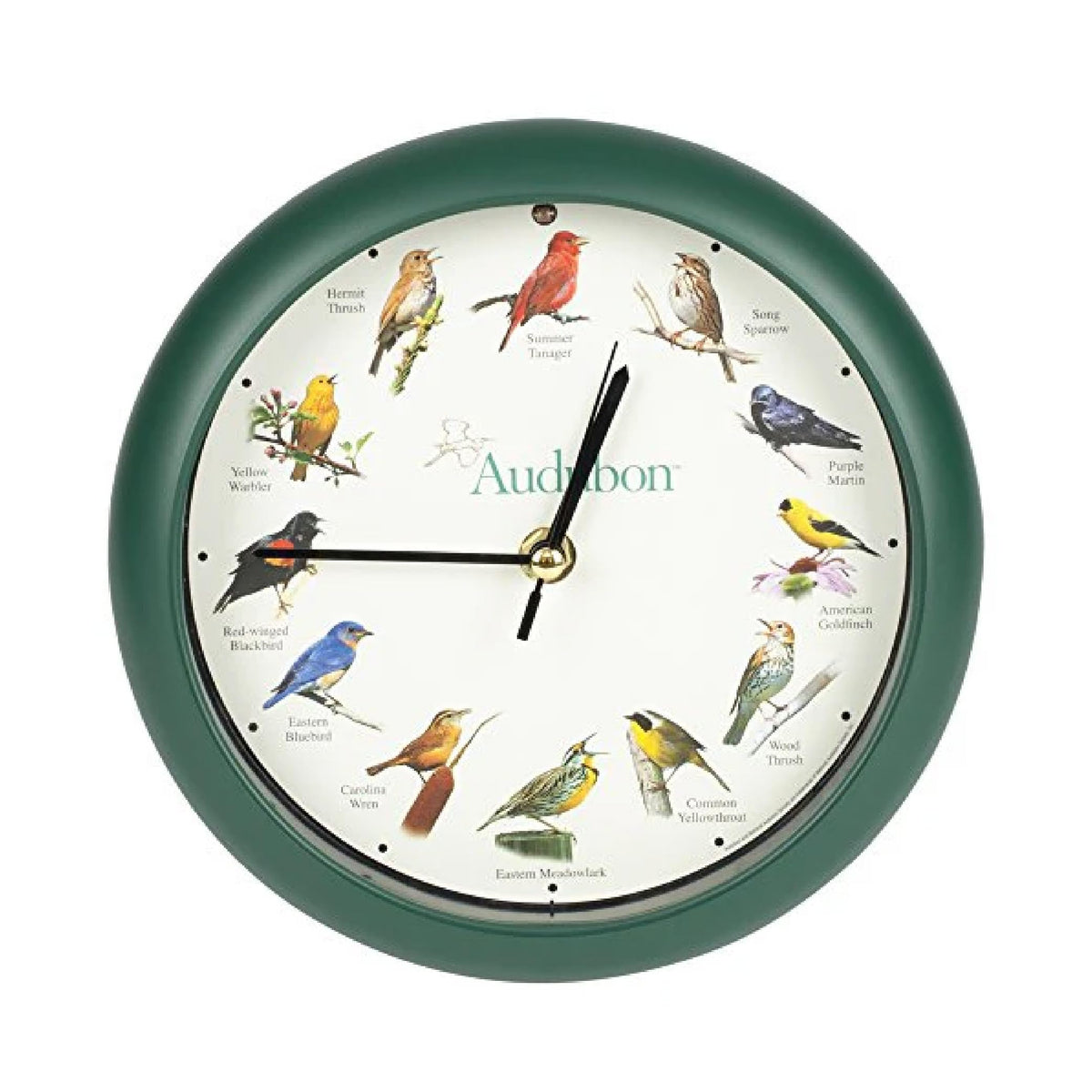 Mark Feldstein green clock front view showing readable face and benefit of easy time reading