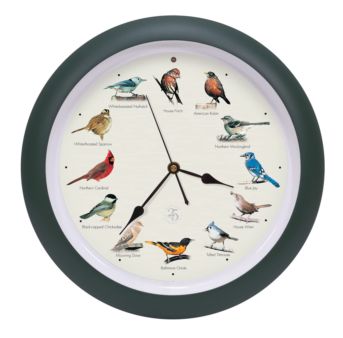 Mark Feldstein clock front view showing green finish and 13-inch dial for decorative timekeeping
