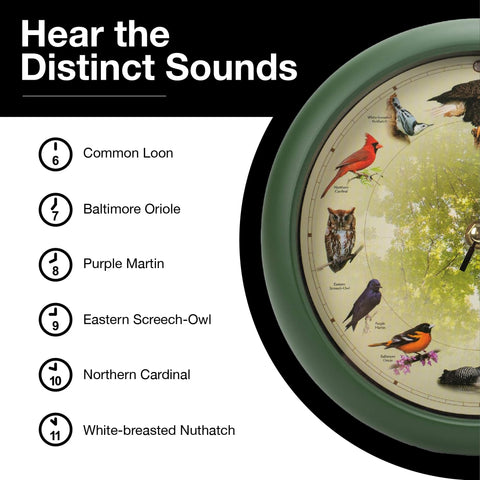 Mark Feldstein packaging with bird notes aiding identification and learning benefit