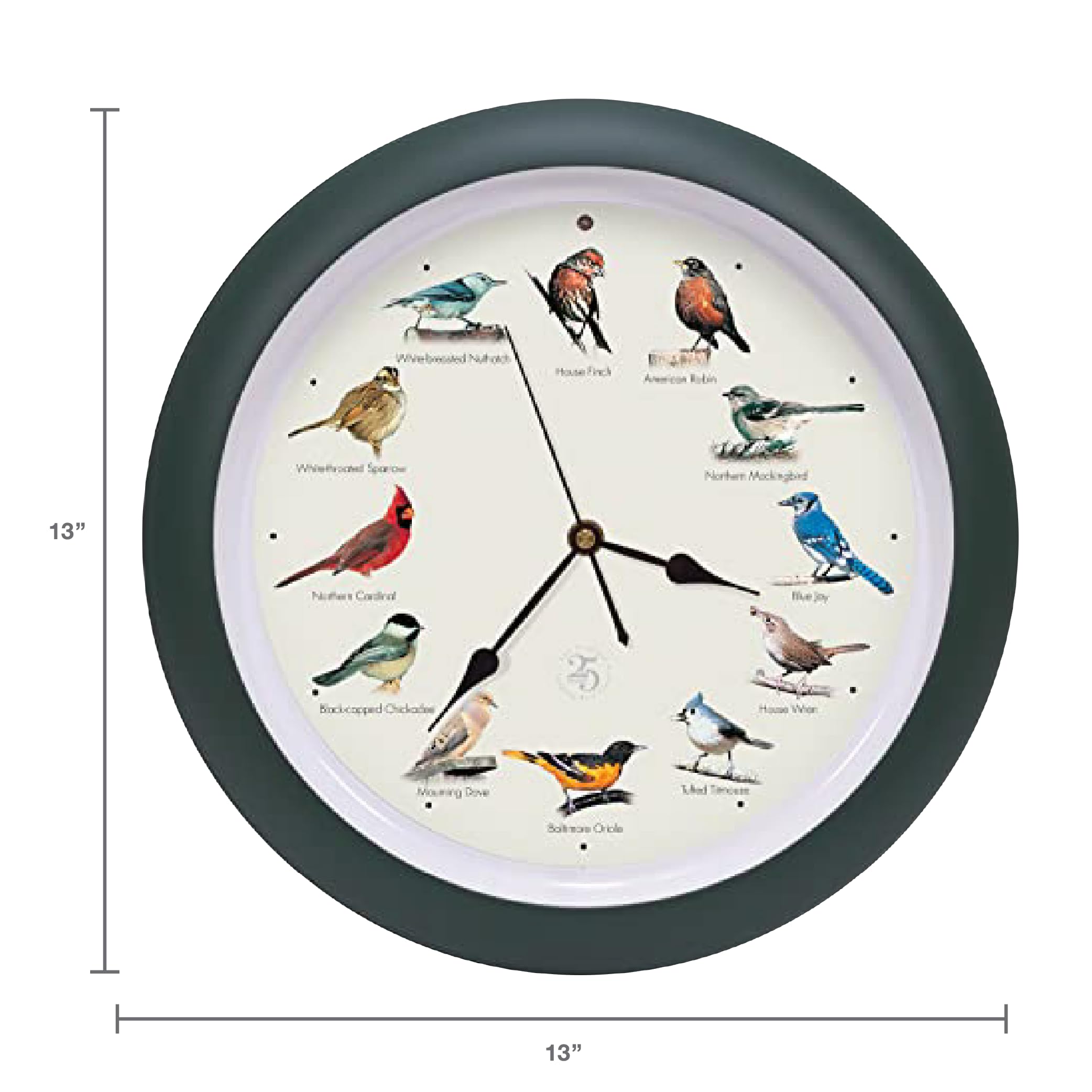 Mark Feldstein dial detail with bird illustrations for easy species identification
