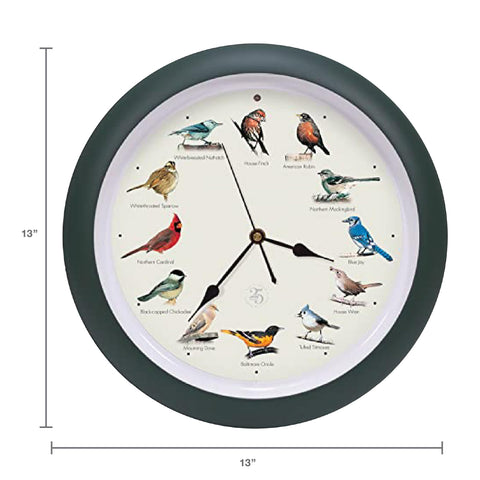 Mark Feldstein dial detail with bird illustrations for easy species identification