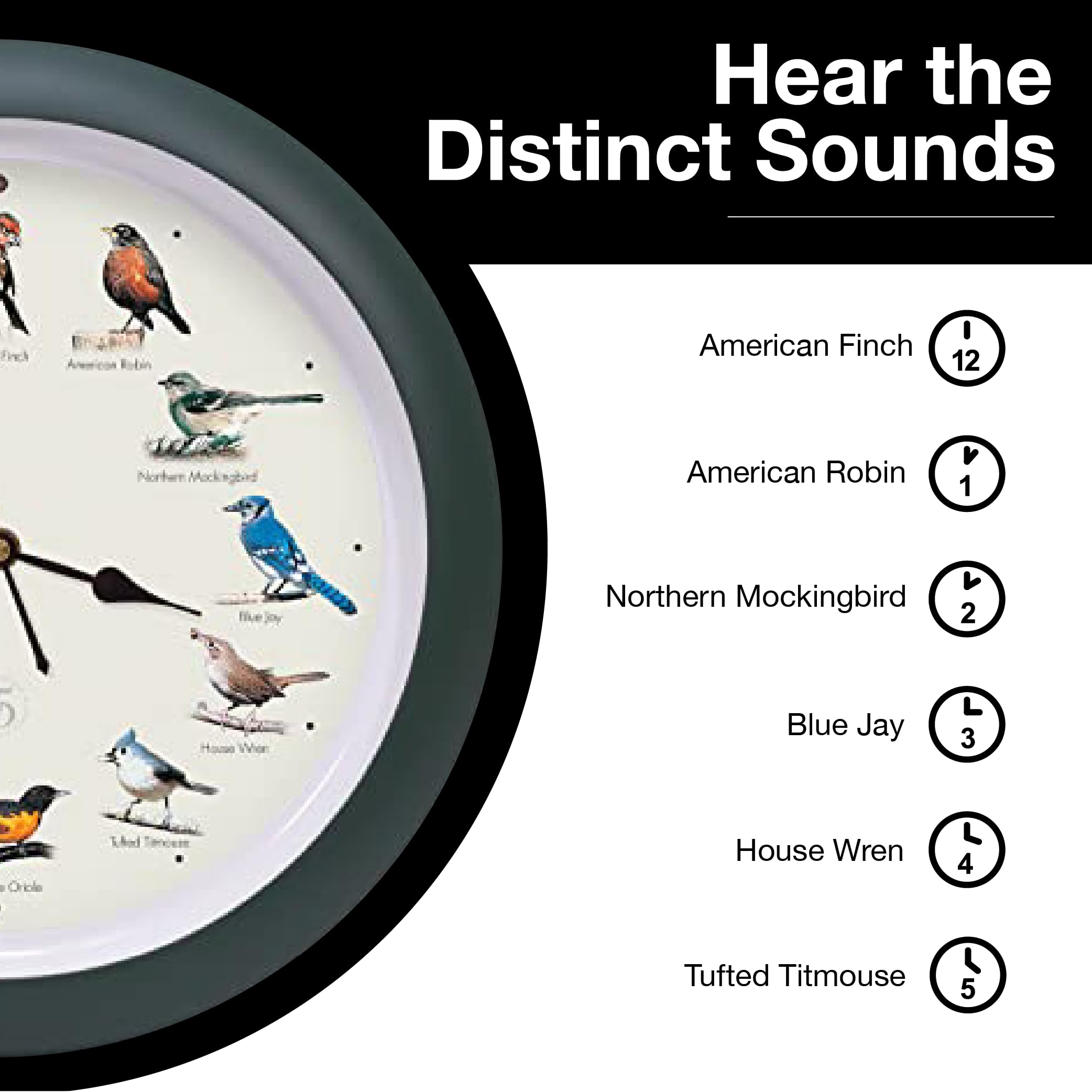 Mark Feldstein field guide laid out to show included species references and learning benefits