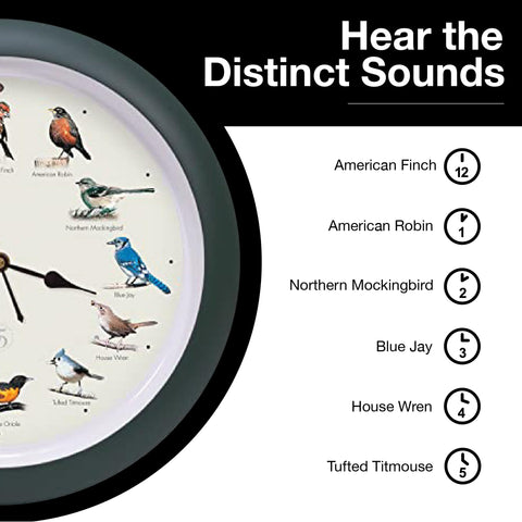 Mark Feldstein field guide laid out to show included species references and learning benefits