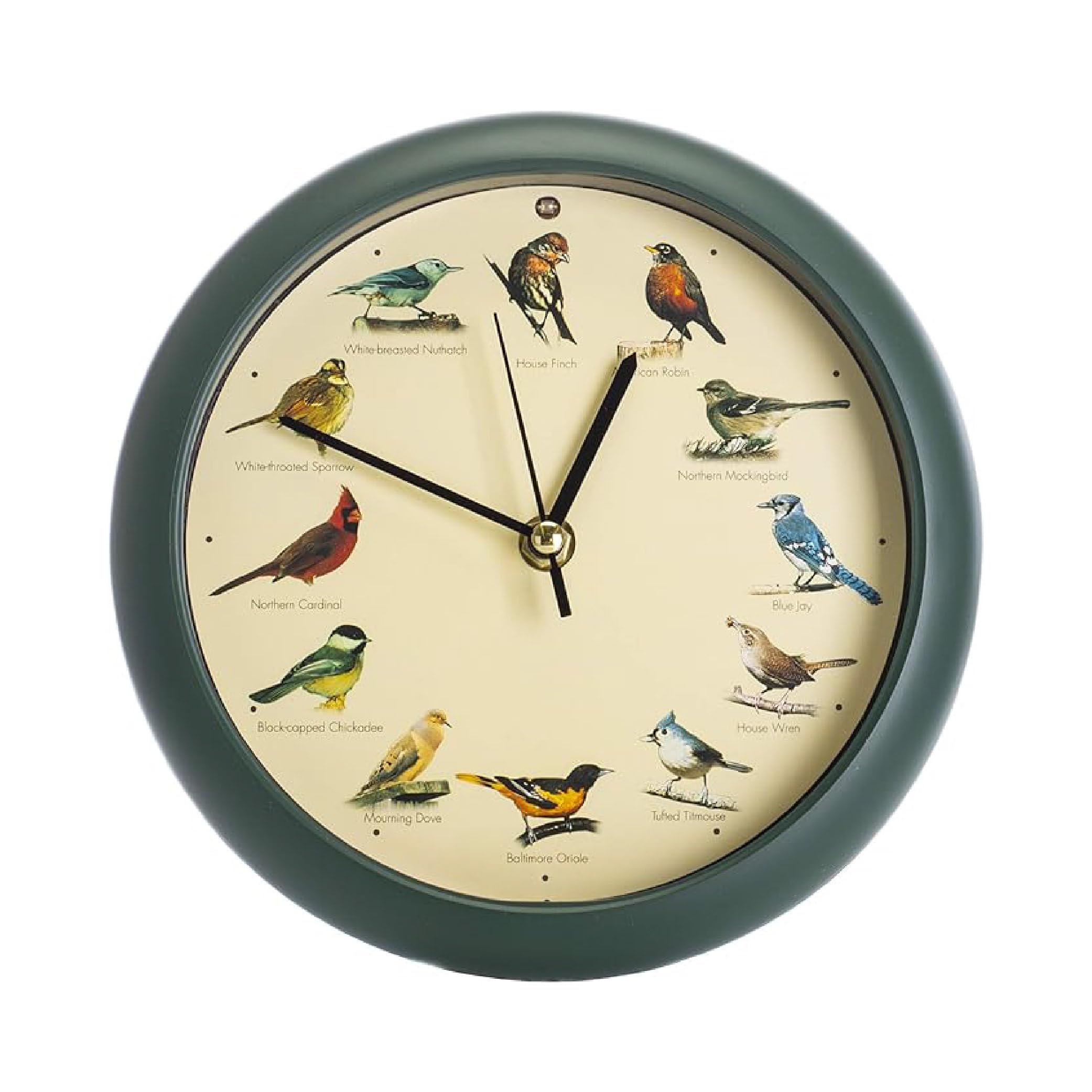 Mark Feldstein front view green clock showing bird portraits and readable hands for decorative timekeeping