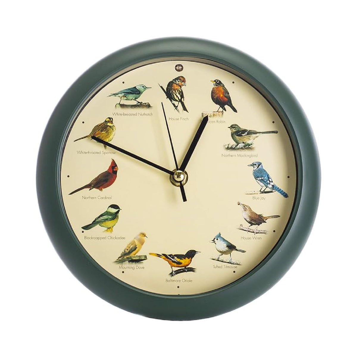 Mark Feldstein front view green clock showing bird portraits and readable hands for decorative timekeeping