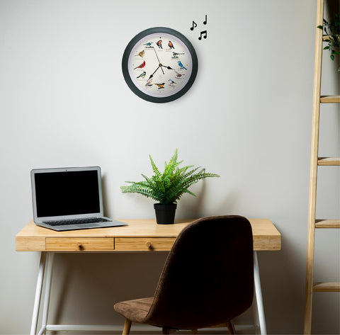 Mark Feldstein clock on kitchen wall enhancing room ambiance with natural bird songs