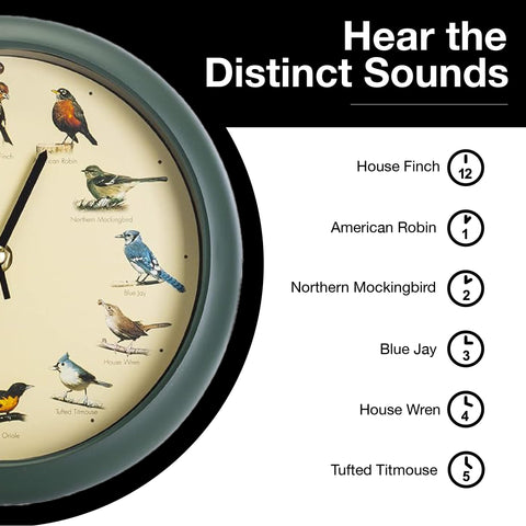 Mark Feldstein on shelf in dorm room setting adding charm and compact audio decoration