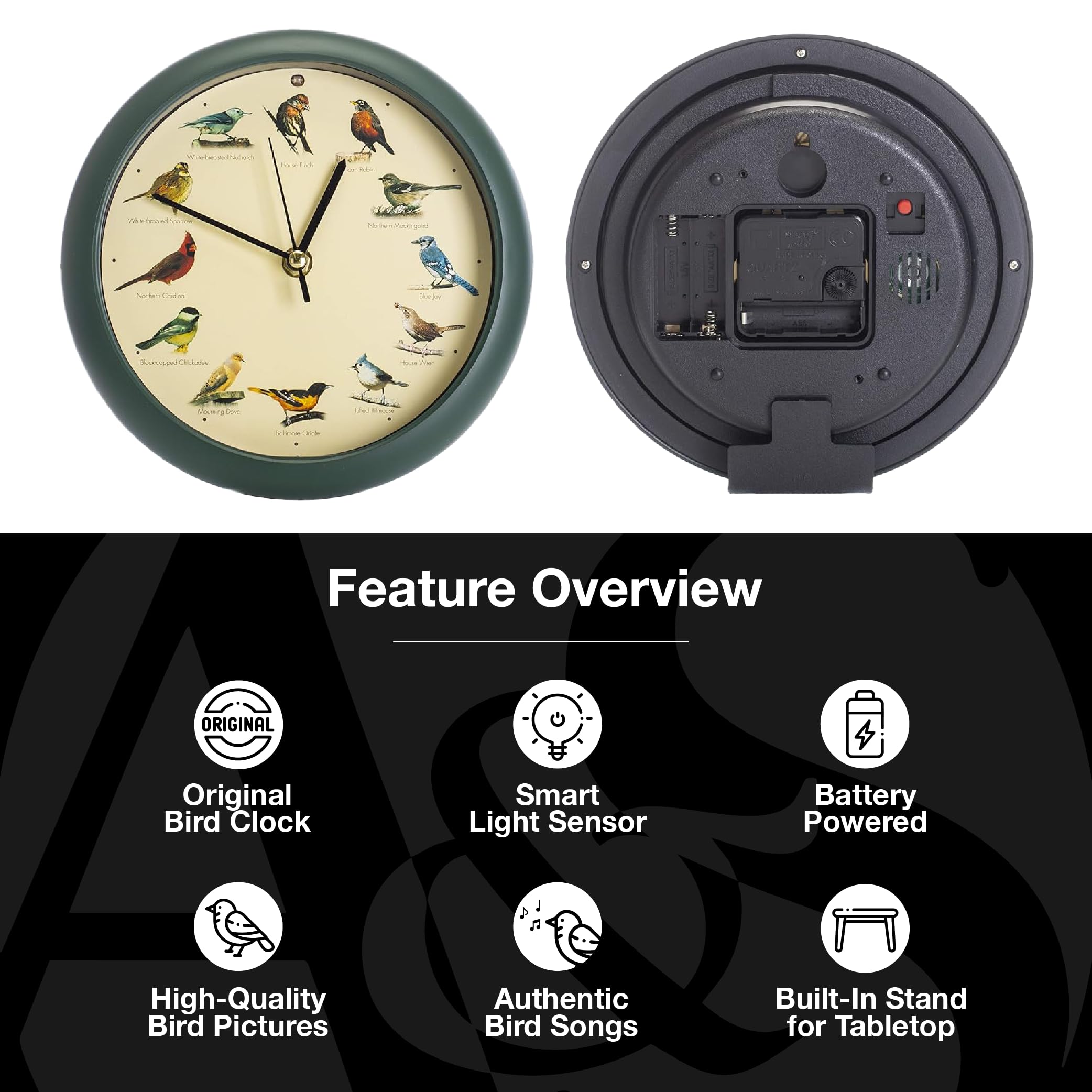 Mark Feldstein side profile showing bezel and clock hands for clear indoor visibility