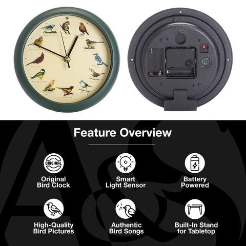 Mark Feldstein side profile showing bezel and clock hands for clear indoor visibility
